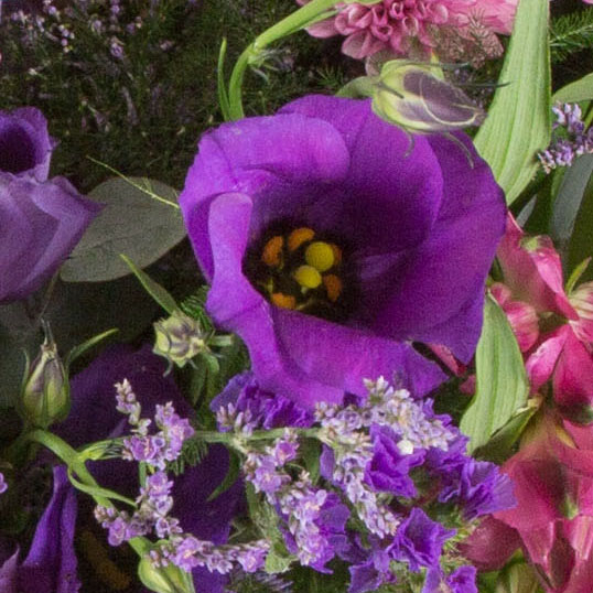 Florist's Choice Basket Arrangement — flowers from Stems of Burnside, £50